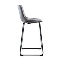 Heavenly Collection Gray Bar Stool 30"