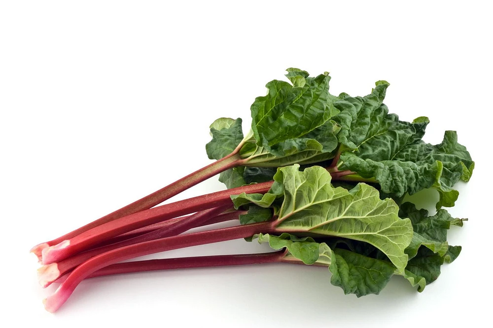 Rhubarbe, noir Vendu en botte