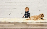 H-Natural New Zealand Sheepskin Rug