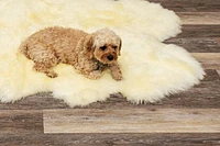 H-Natural New Zealand Sheepskin Rug