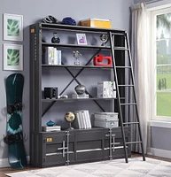 ACME Cargo Bookshelf & Ladder in Gunmetal