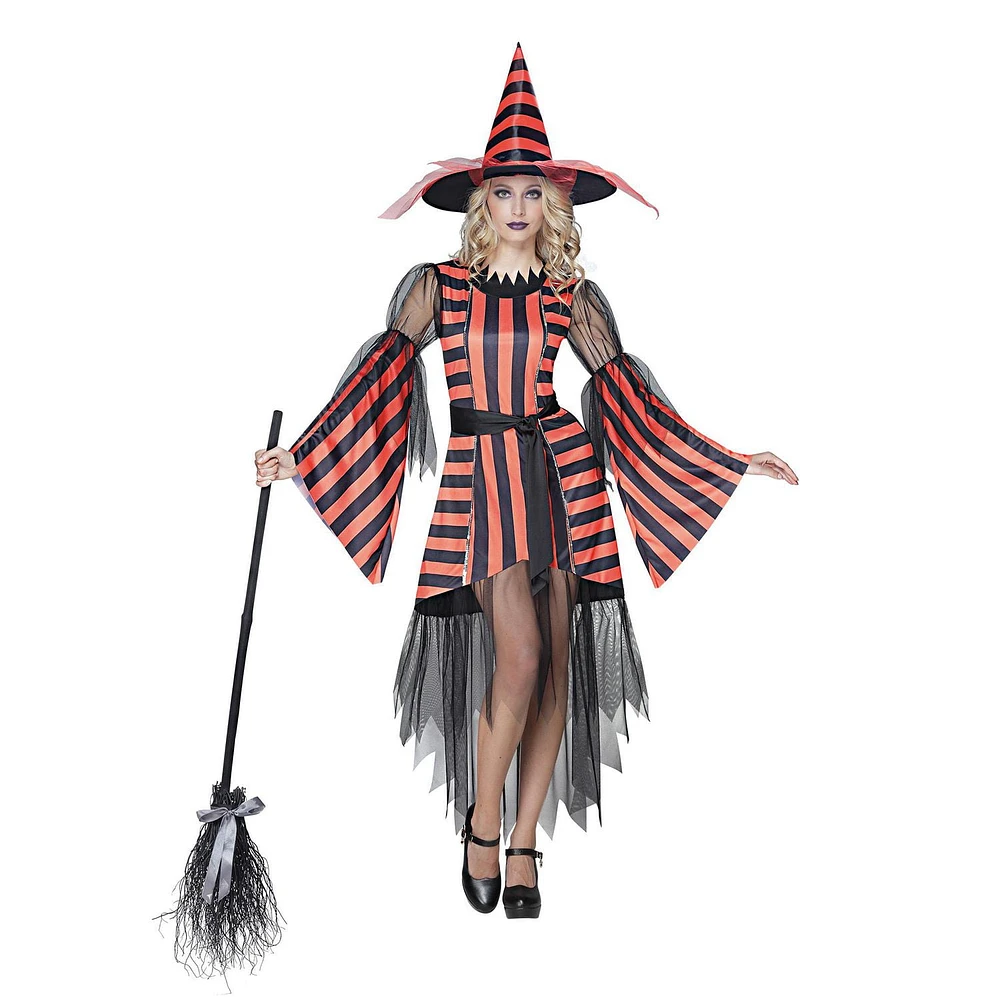 PARTYHOLIC STRIPED WITCH COSTUME (LARGE)