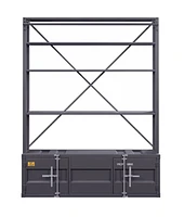 ACME Cargo Bookshelf & Ladder in Gunmetal