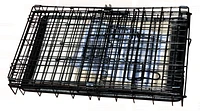 36" Wire 2 Door Dog Pet Crate With Mat