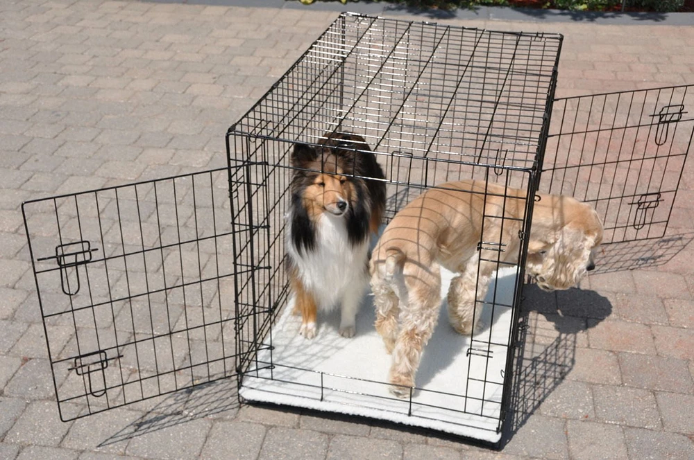36" Wire 2 Door Dog Pet Crate With Mat
