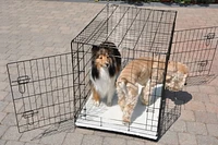 36" Wire 2 Door Dog Pet Crate With Mat
