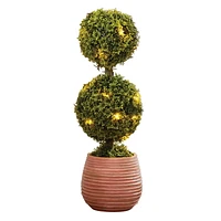 Better Homes & Gardens 22"H Topiary Outdoor Round Decor with Battery operated Warm White LED Lights Euphrasia Officinalis