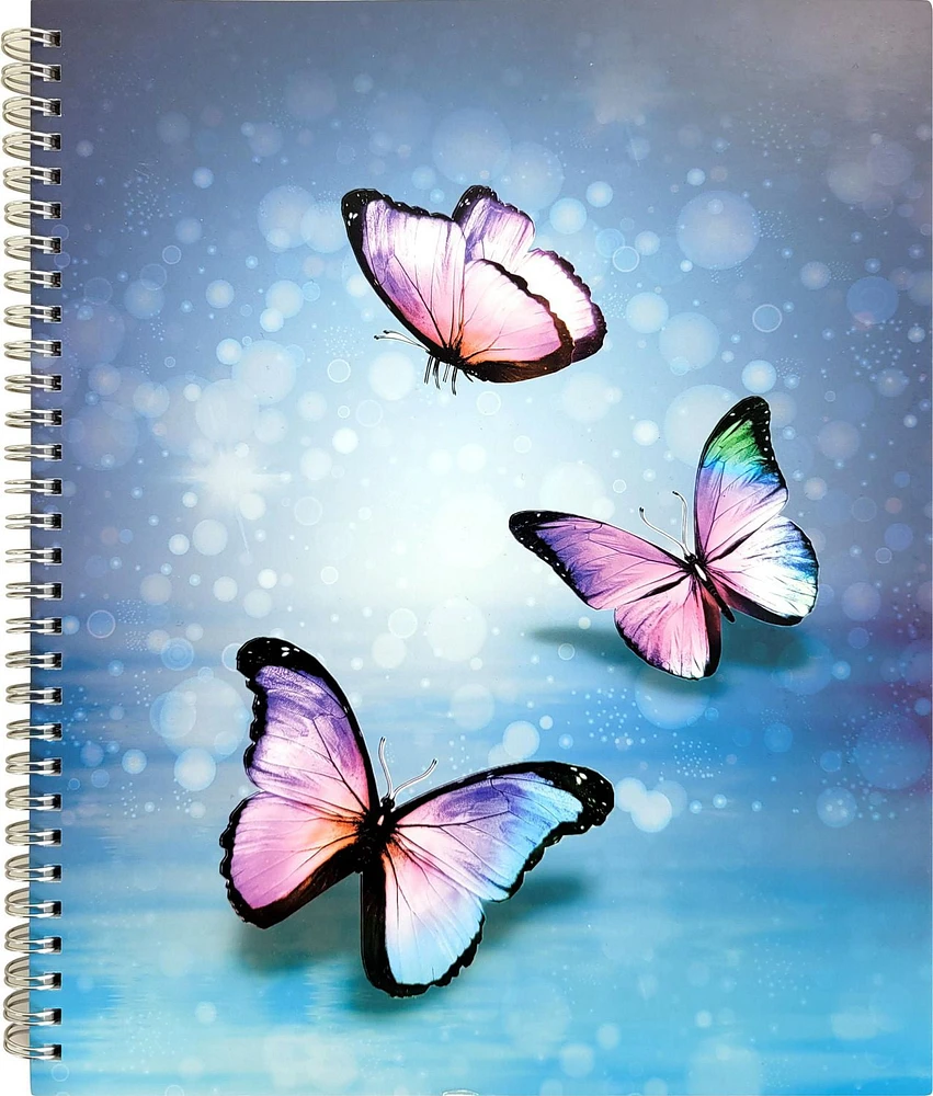 Hilroy Butterfly Blue Notebook, Notebook