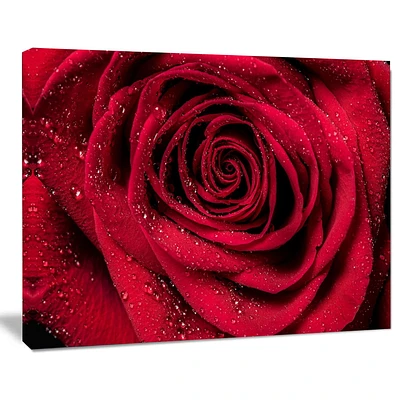 Design Art Red Rose Petals with Rain Droplets Floral Canvas Art Print