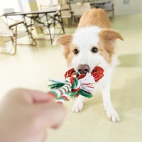 Vibrant Life Rubber Ring with Rope Dog Toy