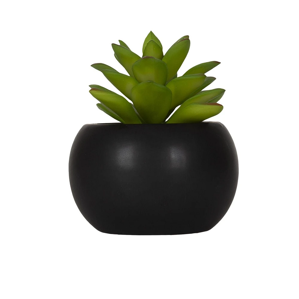 Hometrends Kelvin Succulent B