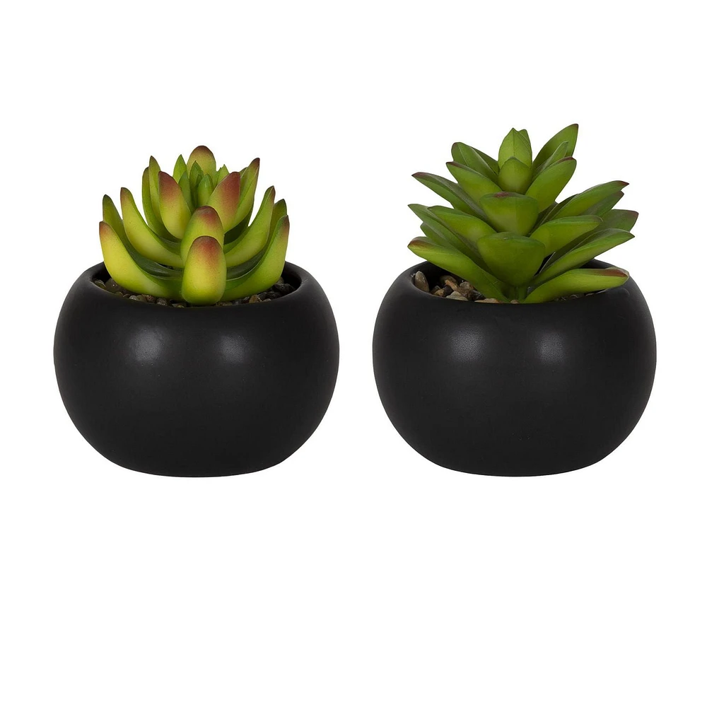 Hometrends Kelvin Succulent B