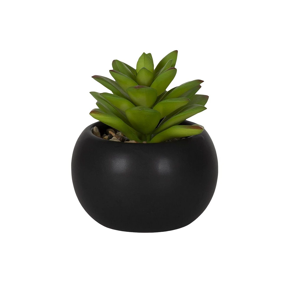 Hometrends Kelvin Succulent B