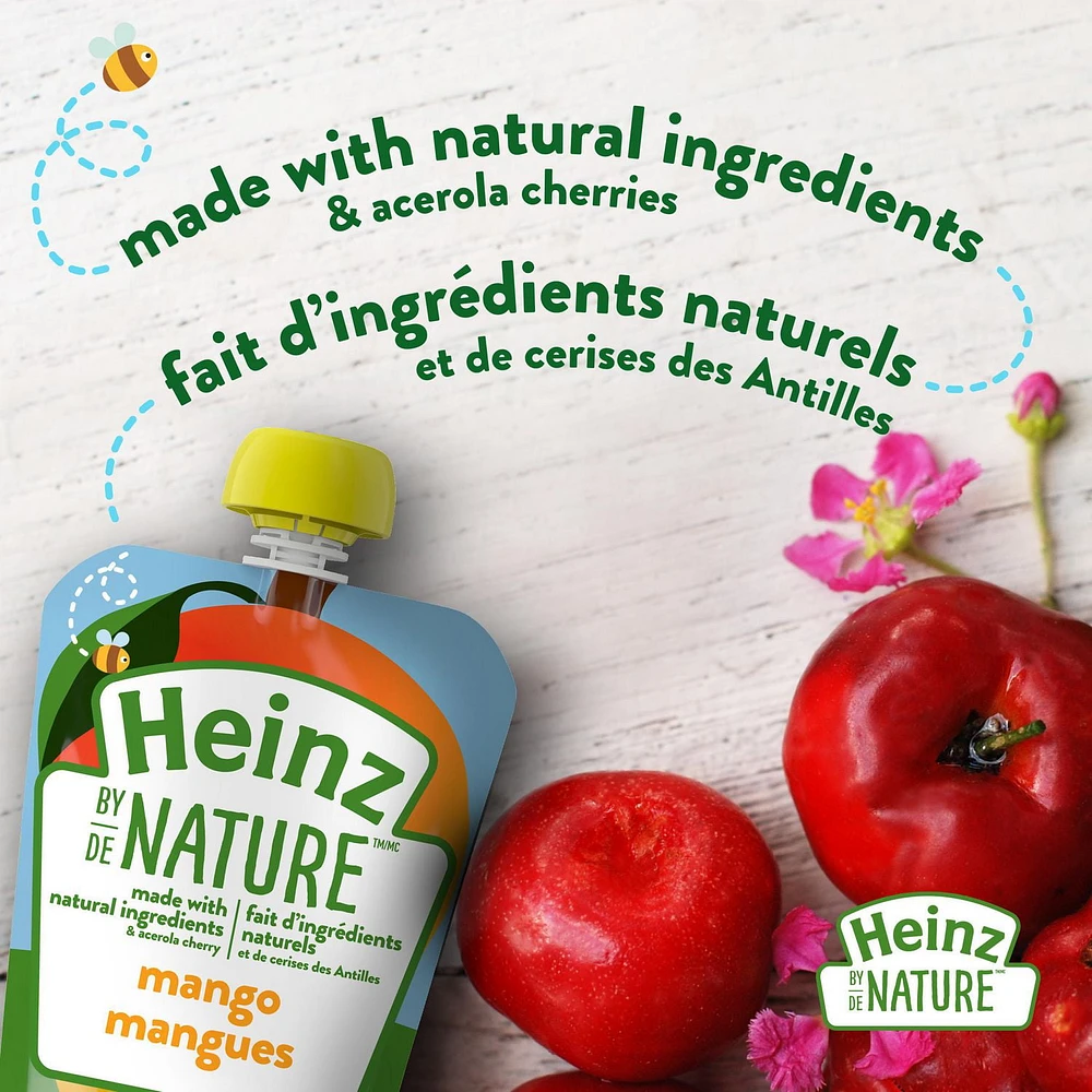 Heinz by Nature Organic Baby Food - Mango Purée