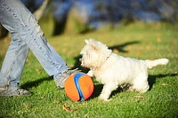 Chuckit! Kick Fetch Small Dog Toy