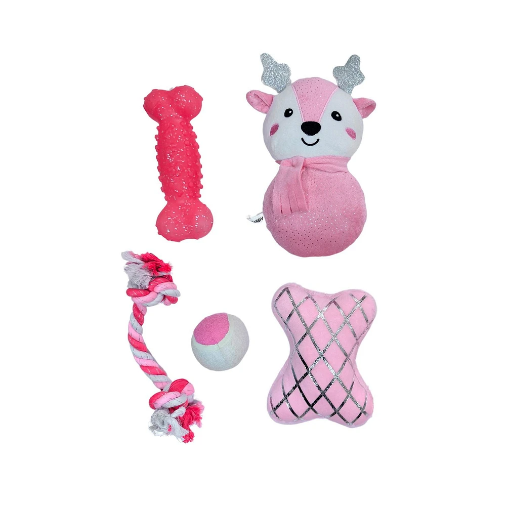Vibrant Life Holiday 5 pièces chien jouet Stocking coffret cadeau, rose
