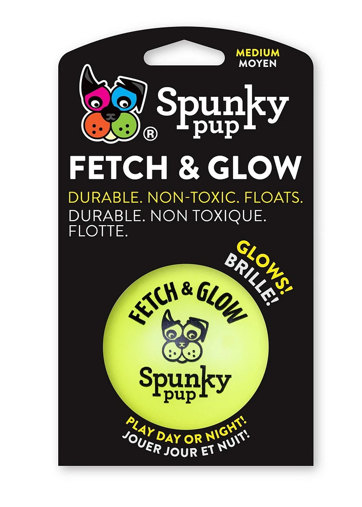 Fetch & Glow Ball Dog Toys