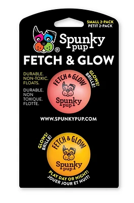 Fetch & Glow Ball Small 2 Pack Dog Toys