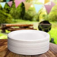Assiettes compostables Eco Great Value 80 x 25 cm (10 po)<br>Format économique