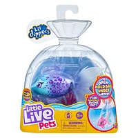 Little Live Pets Lil' Dippers Single Pack - Furtail