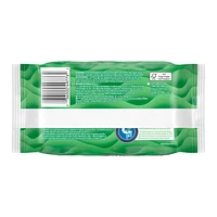 Cottonelle GentlePlus Flushable Wet Wipes with Aloe & Vitamin E, 1 Flip-Top Pack, 42 Wipes Per Pack, COTT FW 42