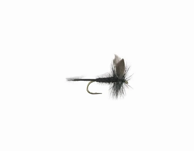 Superfly FLY1059-12P Dry Fly Black Gnat #12, It is loved by freshwater fish