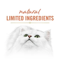 Fancy Feast Savoury Puree Naturals with Natural Salmon & Tuna in a Demi-Glace, Cat Treats 40 g, 40 g