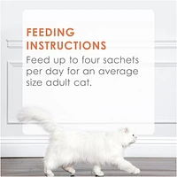 Fancy Feast Savoury Puree Naturals with Natural Salmon & Tuna in a Demi-Glace, Cat Treats 40 g, 40 g