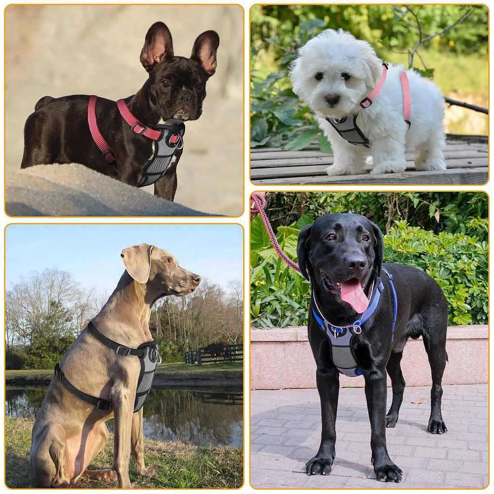 Jespet Padded Front Dog Harness