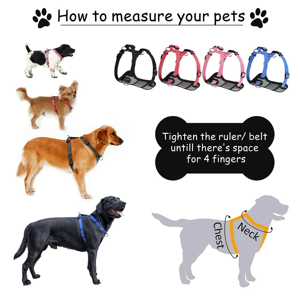 Jespet Padded Front Dog Harness