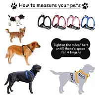 Jespet Padded Front Dog Harness