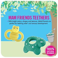 MAM Baby Toys, Teething Toys, Max the Frog 100% Natural Rubber Developmental Teether Toys, 'Friends' Collection, 4+ Months, Unisex, 1-Count