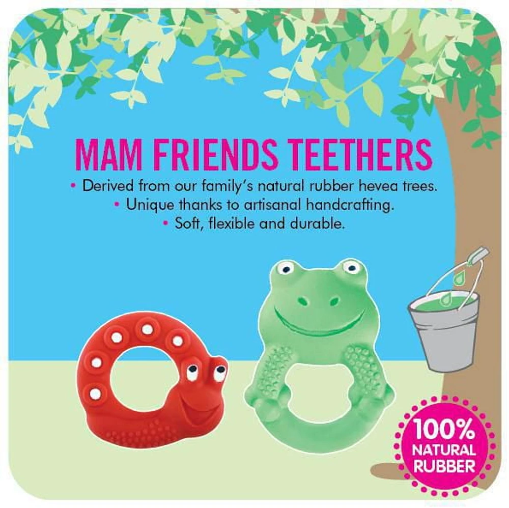 MAM Baby Toys, Teething Toys, Max the Frog 100% Natural Rubber Developmental Teether Toys, 'Friends' Collection, 4+ Months, Unisex, 1-Count