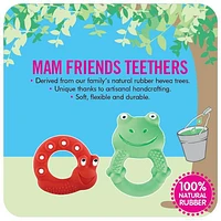 MAM Baby Toys, Teething Toys, Max the Frog 100% Natural Rubber Developmental Teether Toys, 'Friends' Collection, 4+ Months, Unisex, 1-Count