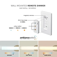 AmbianceSelect™ 24" Brass Dimmable Color Adjustable LED Integrated Vanity Light with Wall Mount Dimmer Remote, 91005758