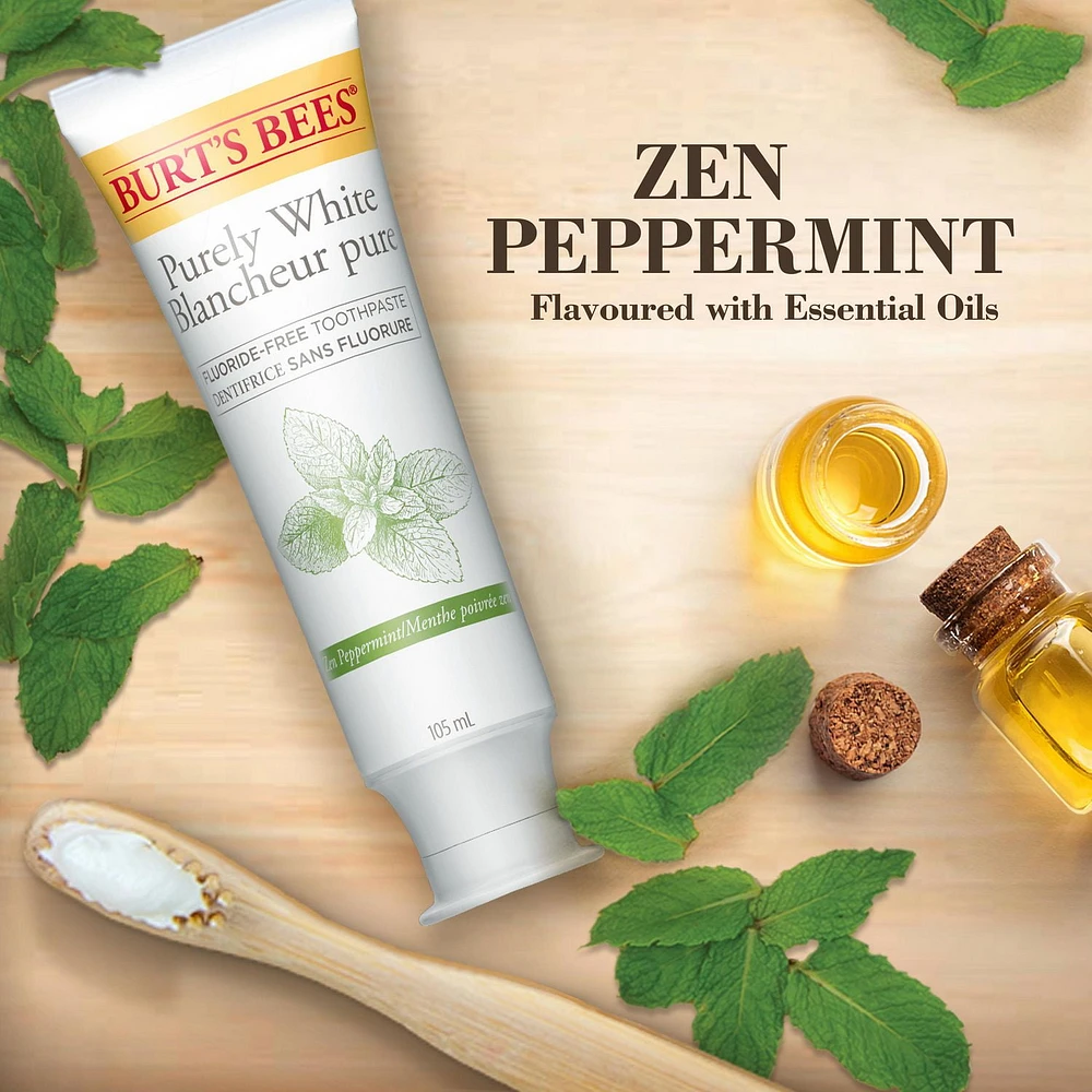 Dentifrice sans fluorure Burt’s Bees Blancheur pure, saveur Menthe poivrée zen 150 ml