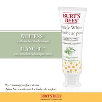 Dentifrice sans fluorure Burt’s Bees Blancheur pure, saveur Menthe poivrée zen 150 ml