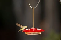 More Birds 3-in-1 Hummingbird Feeder - Red Hanging Multi-Use Feeder with 6oz Nectar Capacity & Bee Guard, 3-in-1 Hummingbird Feeder