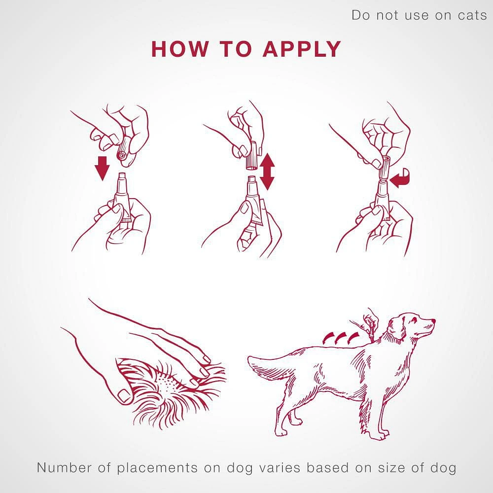 K9 Advantix II traitement contre les puces pour chiens de petit taille