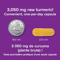 Webber Naturals® Turmeric Curcumin 3,050 mg (raw Herb