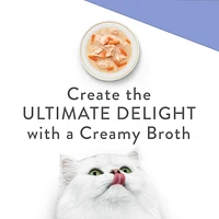 Fancy Feast Creamy Broths with Salmon & Whitefish, Wet Cat Food Complement 40g, 40g