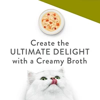 Fancy Feast Creamy Broths Chicken & Vegetables, Wet Cat Food Complement 40g, 40g