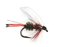 Superfly FLY1443-10P Wet Fly Royal Coachman #10, They work on both lakes and rivers