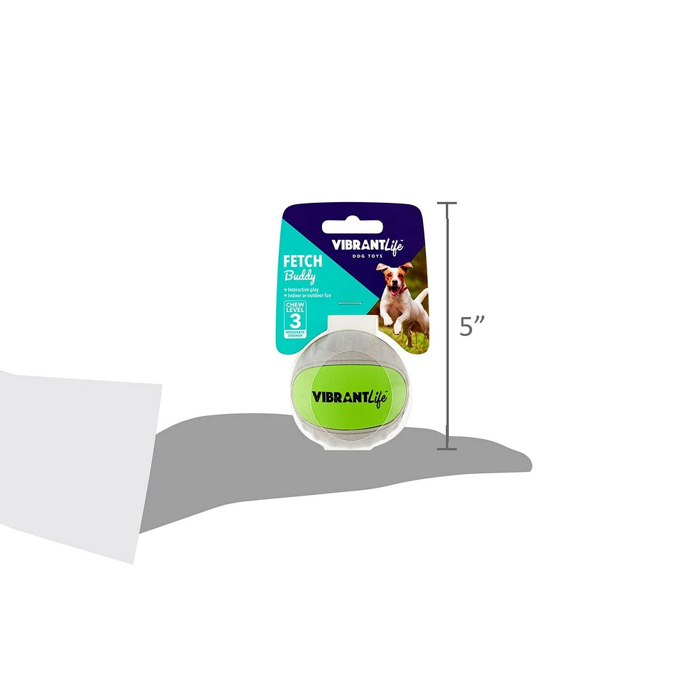 Rapporter une balle FETCH TOY
