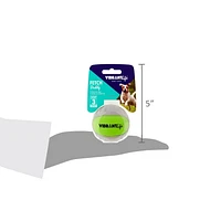 Rapporter une balle FETCH TOY