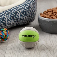 Rapporter une balle FETCH TOY