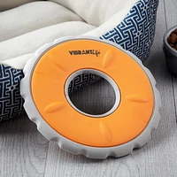 VibrantLife Active Disc