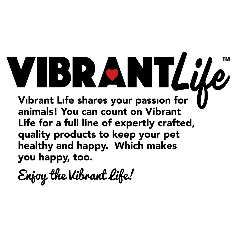 VibrantLife Active Disc