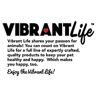 VibrantLife Active Disc