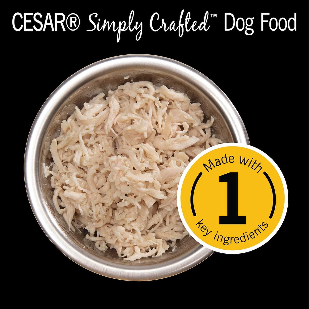 Cesar Simply Crafted Chicken Recipe Wet Dog Food, 37g